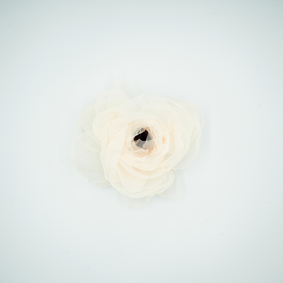 ORIGIN
